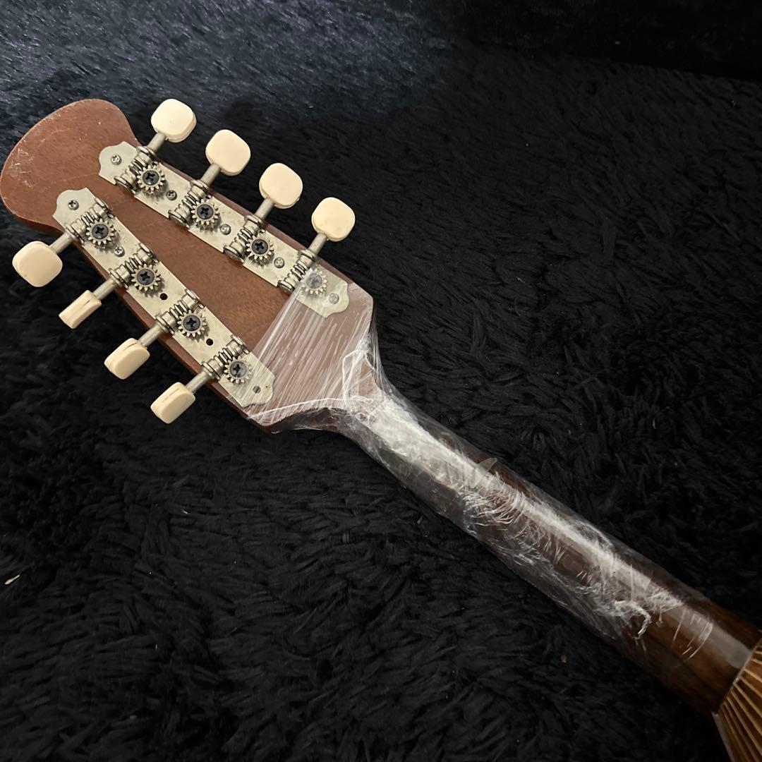 野口 賢 M.NOGUCHI マンドリン ハードケース付属 弦楽器 レア