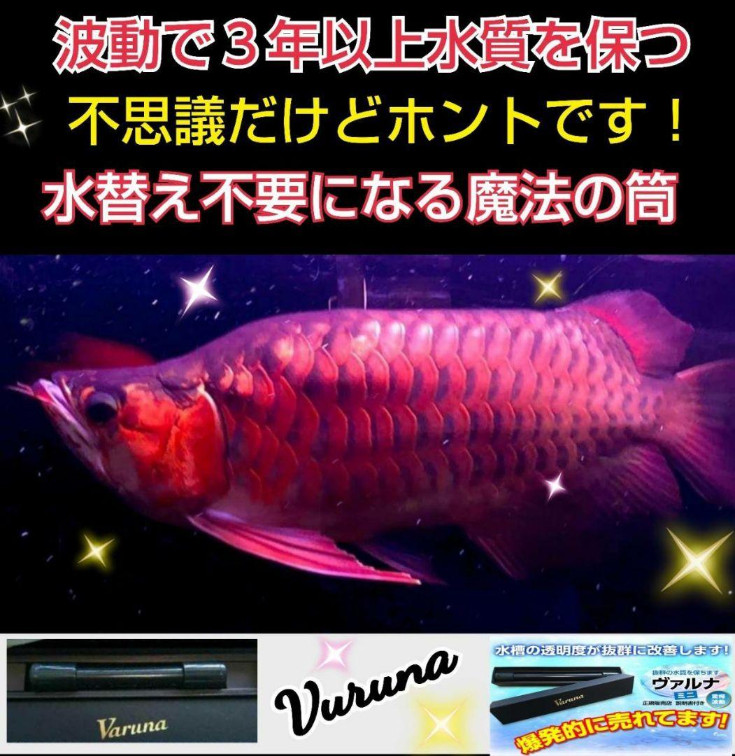 水質アップにはコレです！【ヴァルナ】有害物質を強力抑制し透明度が抜群になります！