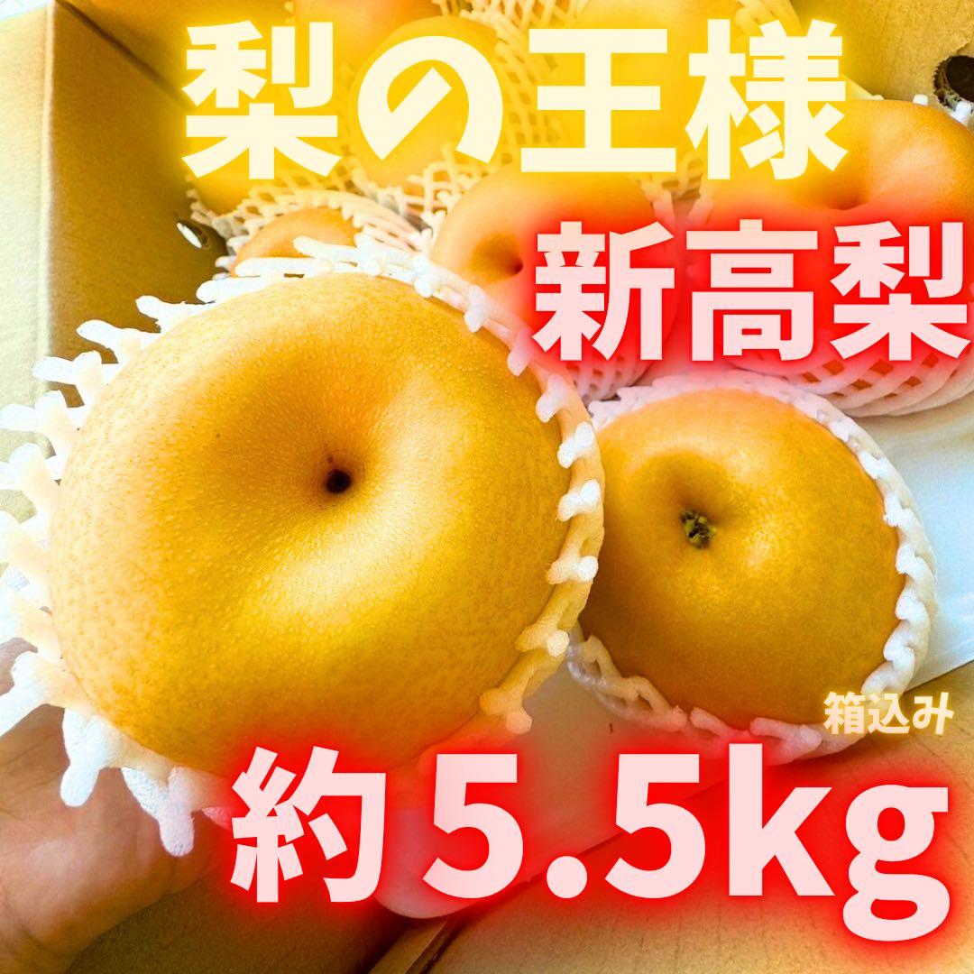 梨　新高梨　10玉　　26