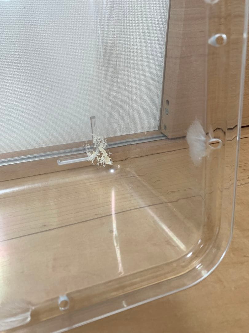 ルーミィ60 ベーシック　サイレントホイール　木のおうち　ハムスター　小動物