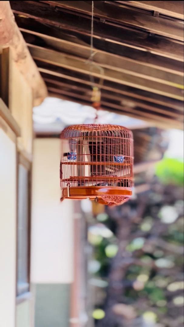香港鳥籠