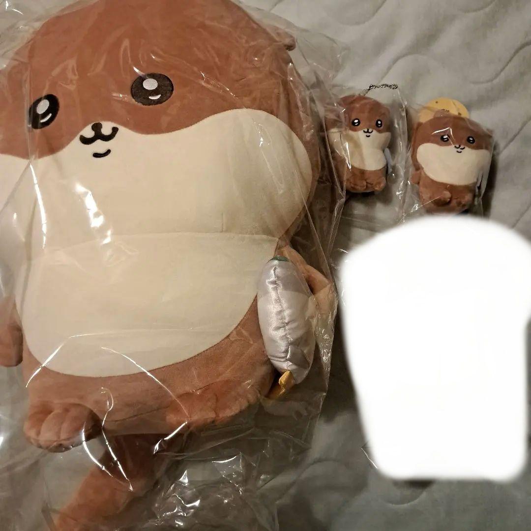 ナガノ カワウソくじ A賞 D賞