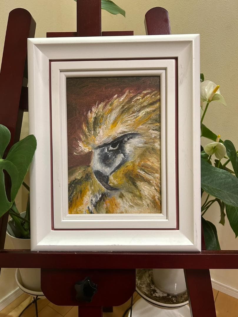 フィリピンワシ　絵画　＜お値段ご相談ください＞