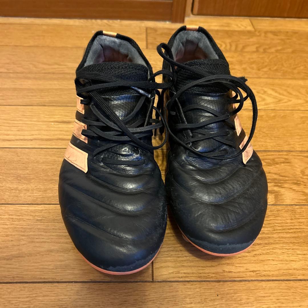 コパ19.1 FG/AG
