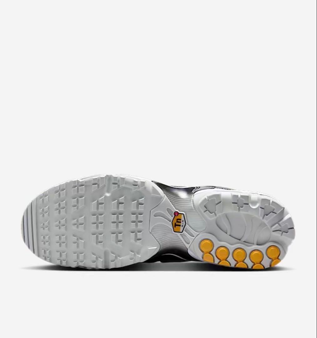 さんま　ゴルフ　Nike Air Max Plus ブラック/ホワイト