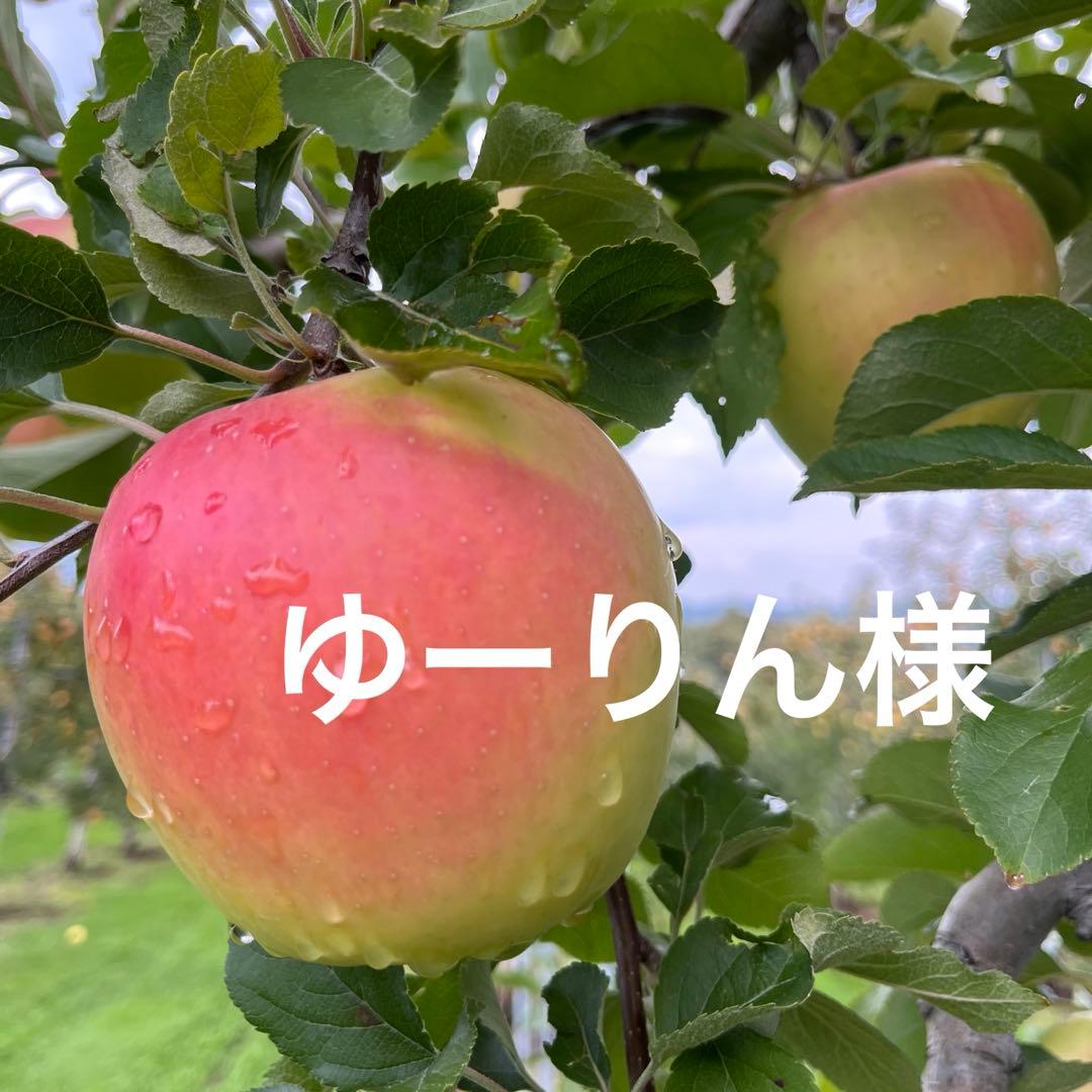 ゆーりん✨10kg