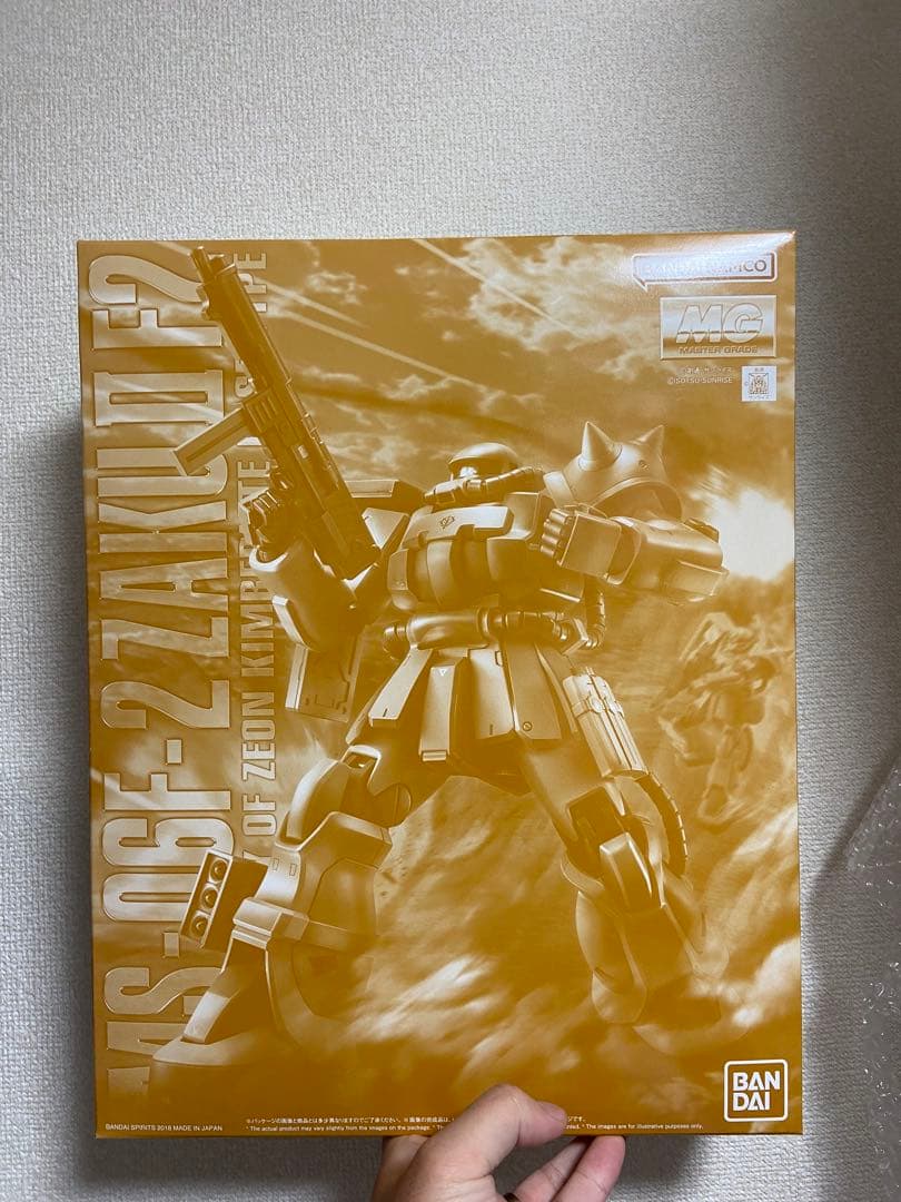 MG 1/100 ザクII F2型（キンバライト基地仕様）