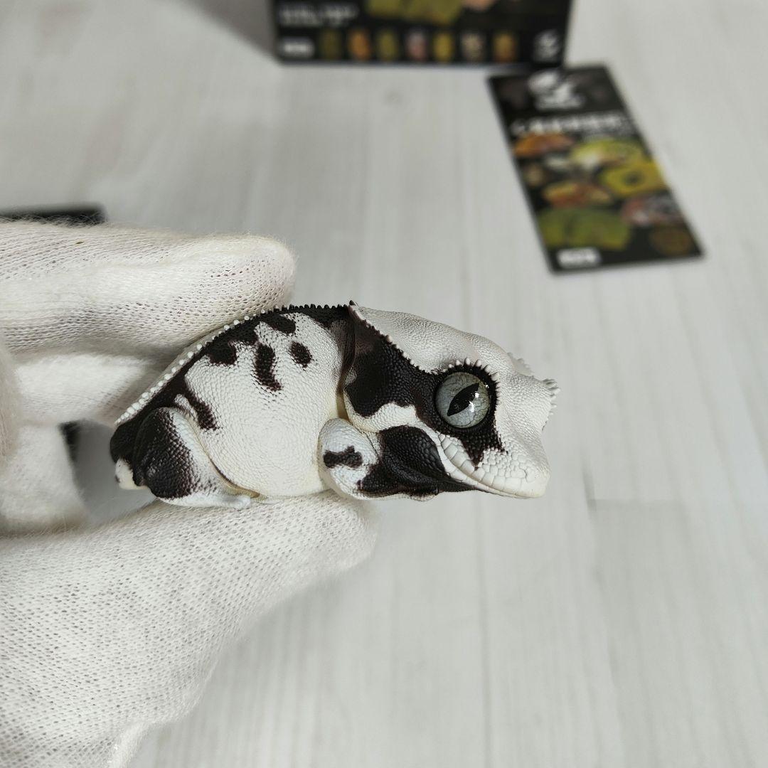 【動物の惑星】スーパーレア!韓国限定リリー&150体限定カエル!! フィギュア