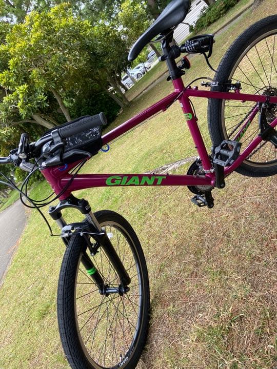 GAIANT snap グレープ