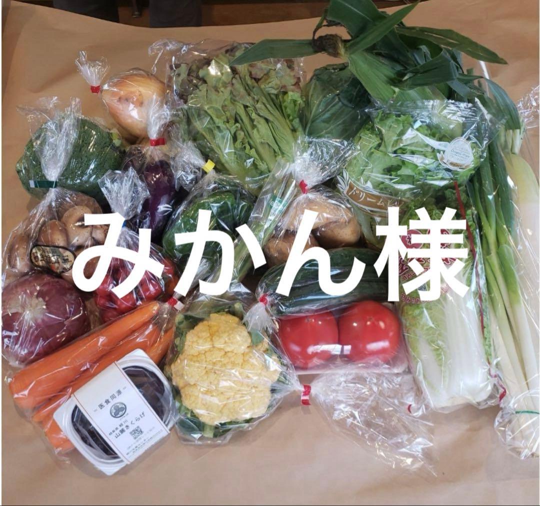 みかん様 野菜セット 果物追加1 干し芋2