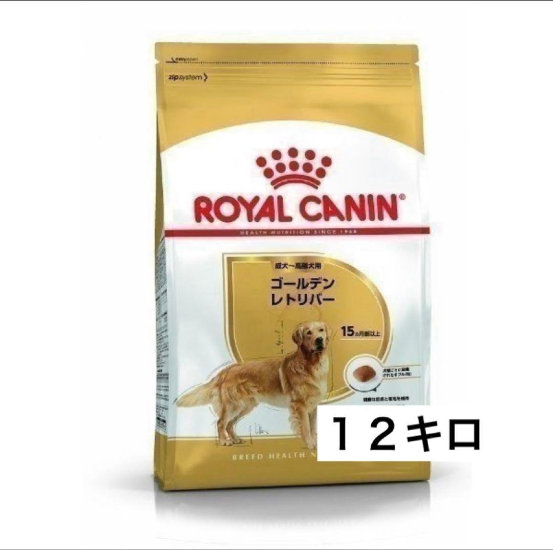 【処分本日限り】ロイヤルカナン ゴールデンレトリバー成犬用１２キロ