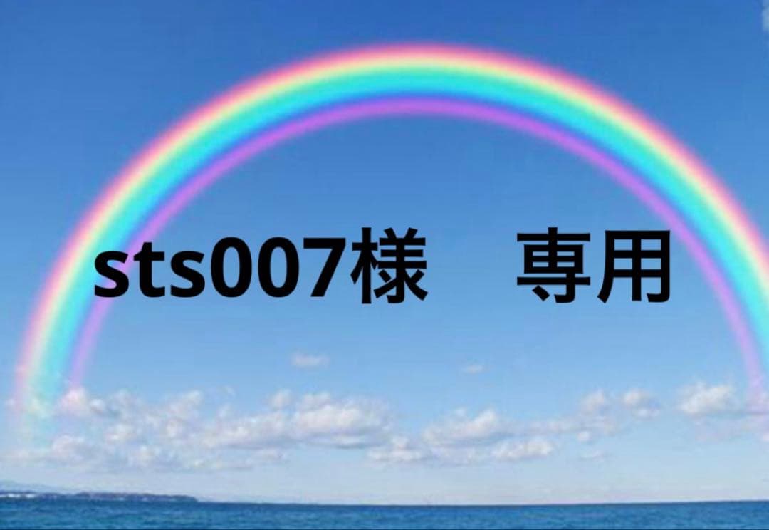 sts007様　2点専用