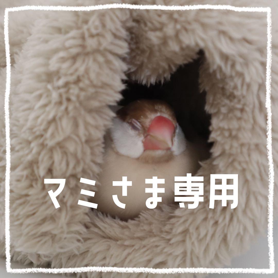 【マミ】ことりのあそびば