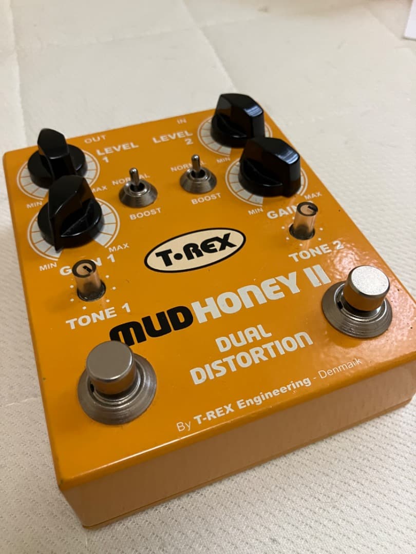 ギター T-Rex Mudhoney II