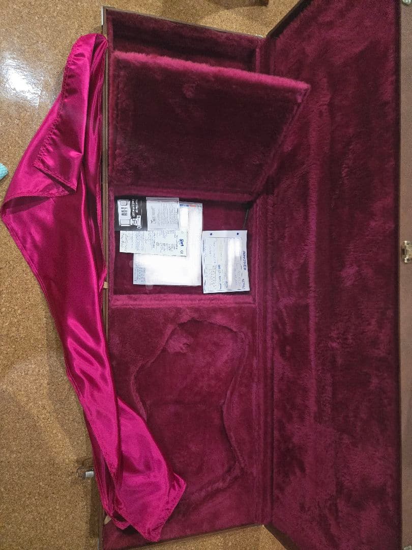 Gibson Thunderbird （97年製中古）ケース有
