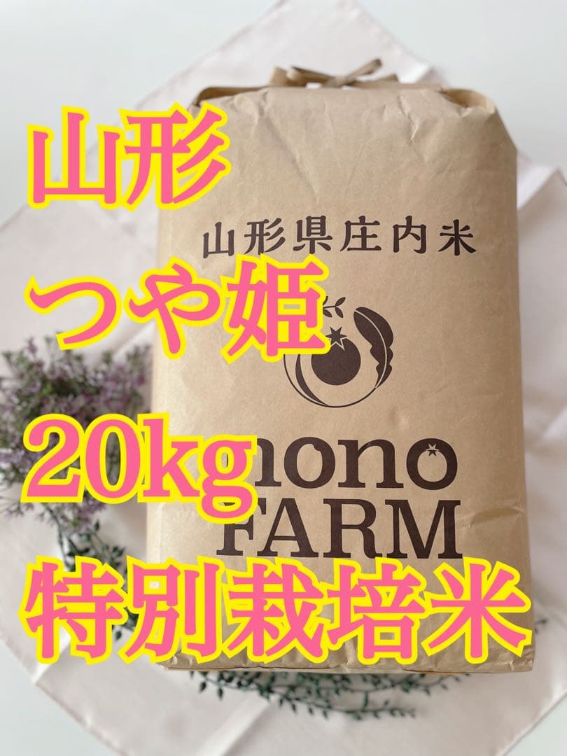 つや姫　20kg 山形　令和7年　特別栽培米