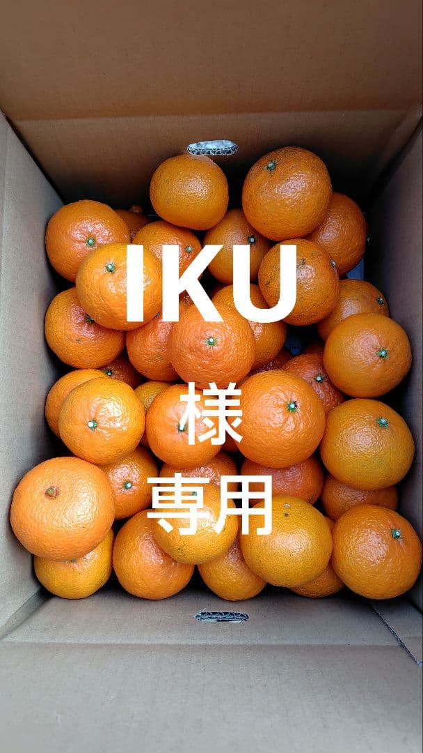 津之輝20㎏(家庭用)IKU#2