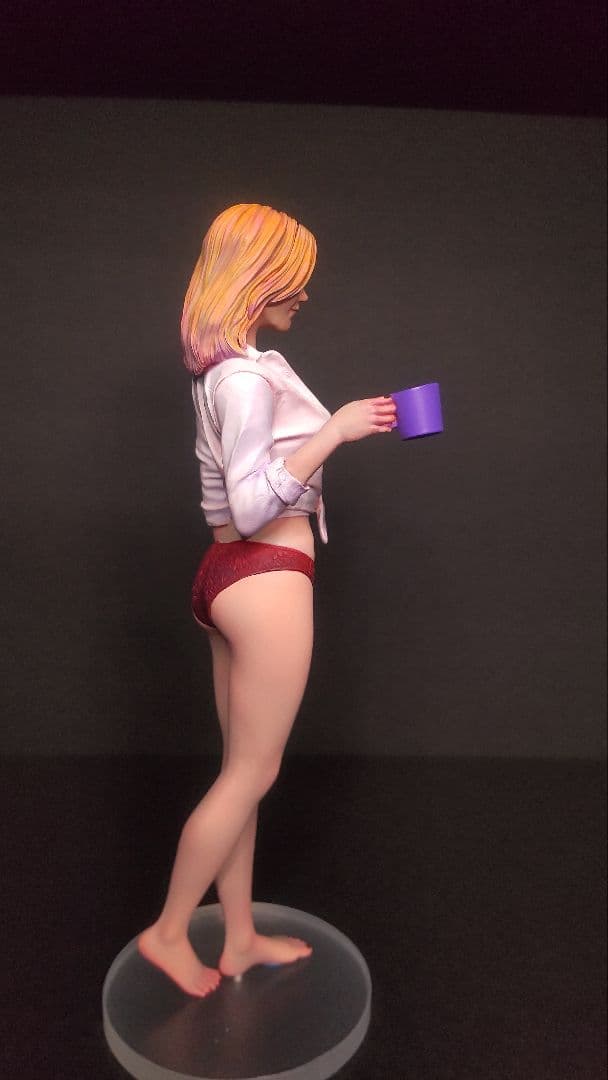 ハセガワ 1/12 リアルフィギュアコレクション 塗装済み完成品 ガレージキット