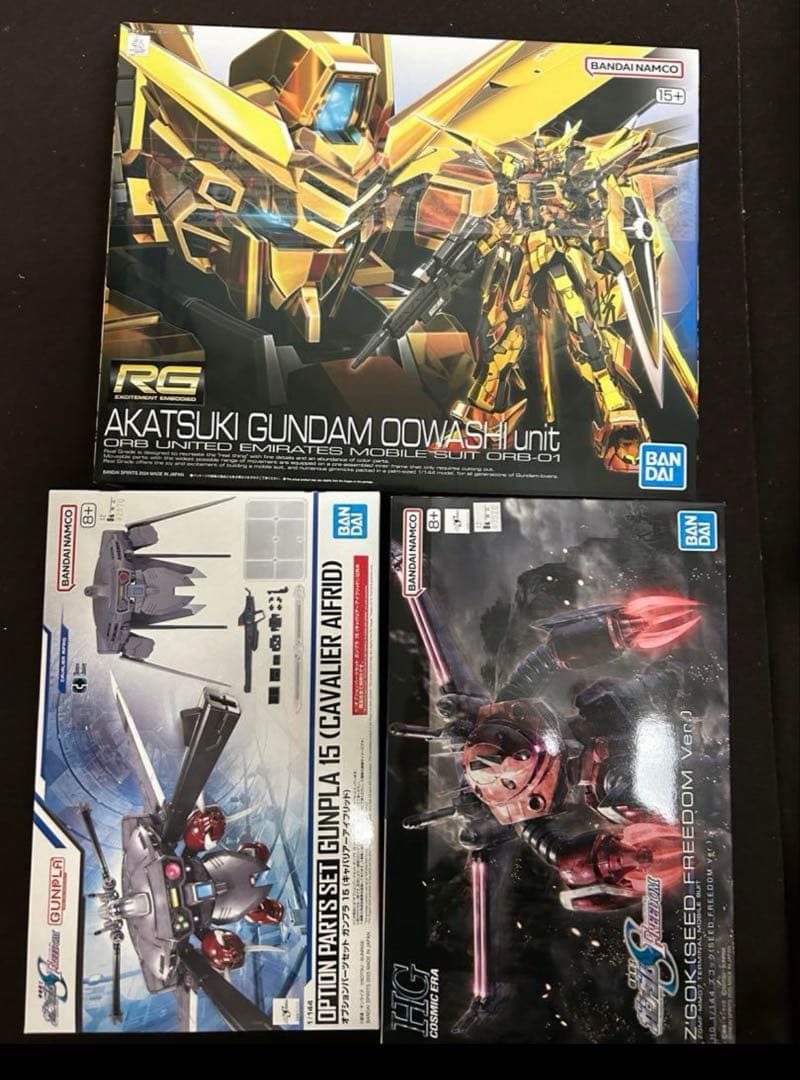 HG ズゴック(SEED FREEDOM Ver.) キャバリア RG アカツキ