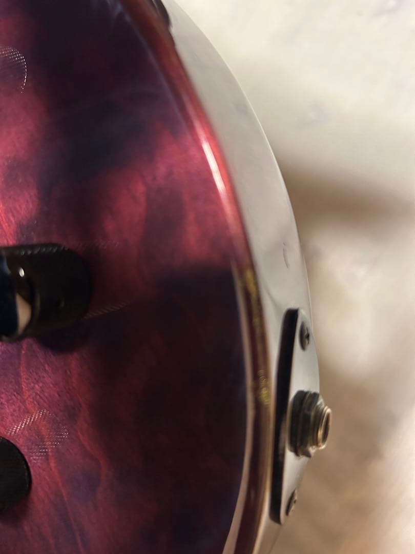 ギター Fernandes RE-180C