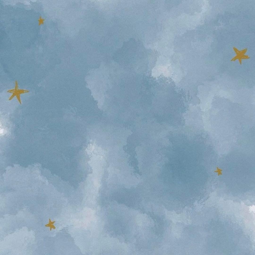 専用S