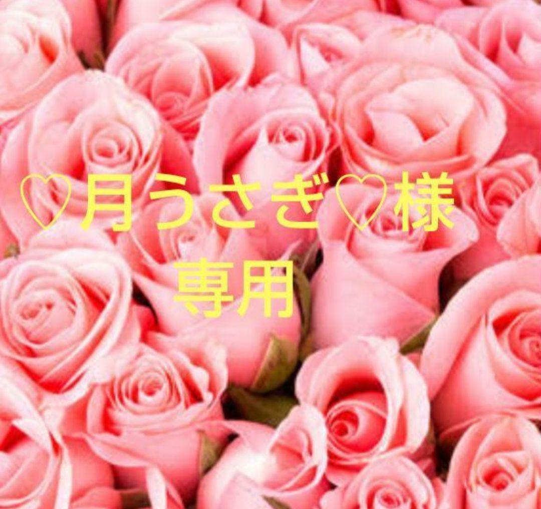 月うさぎ