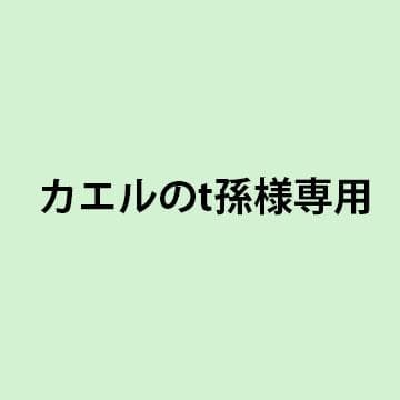 【専用ページ】