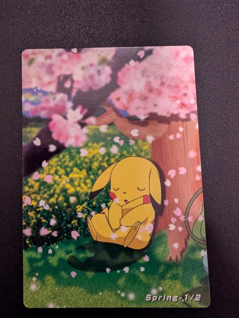 THE POKEMON WEEKLY　Spring1・2