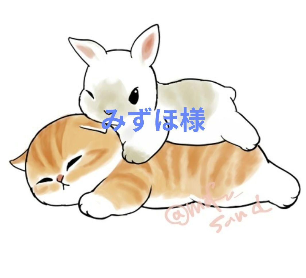 みずほ様