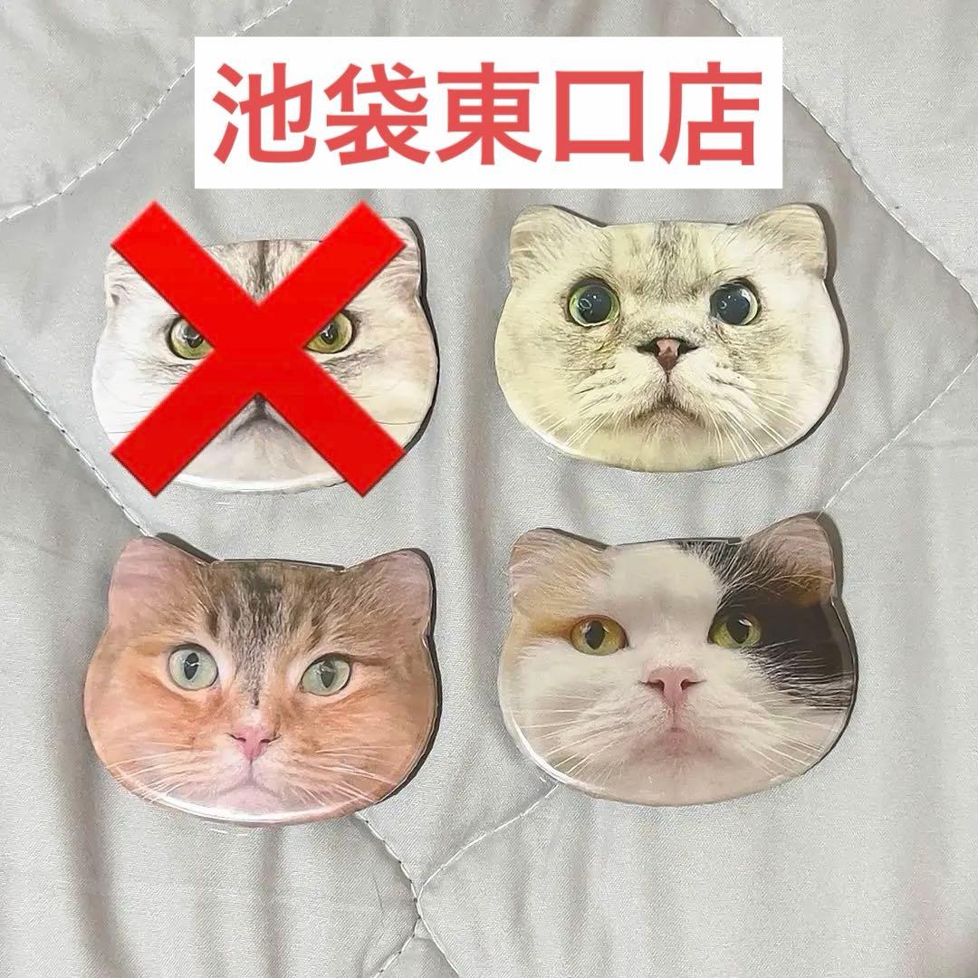 猫カフェmocha モカにゃんず猫型缶バッジ 池袋東口店
