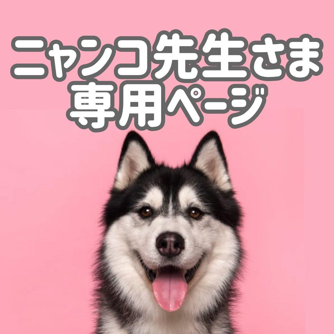 Aラム15◯● ニャンコ先生ページ●◯