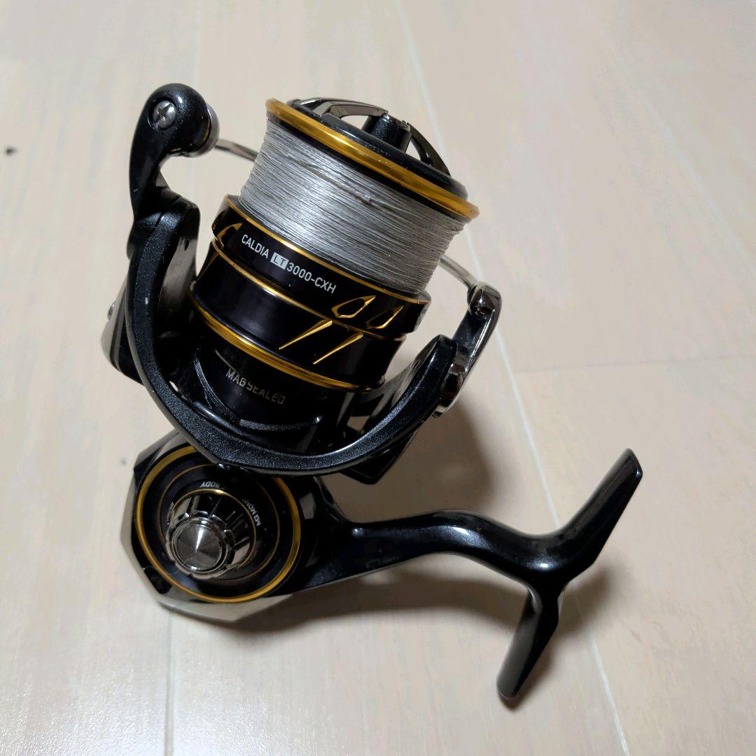 ダイワ 21 カルディアLT 3000-CXH DAIWA CALDIA