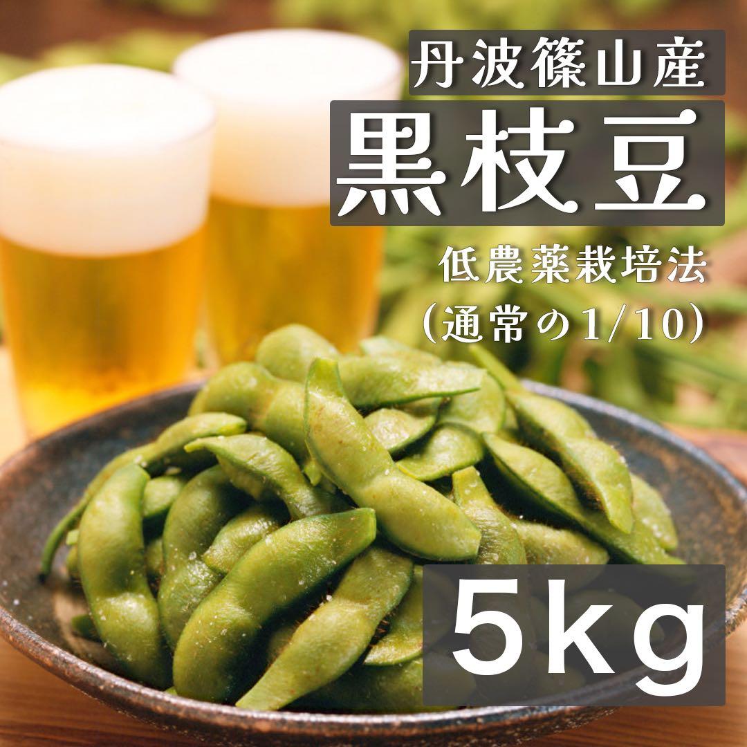《採れたて》丹波篠山産　黒枝豆　5kg 減農薬栽培 丹波黒枝豆