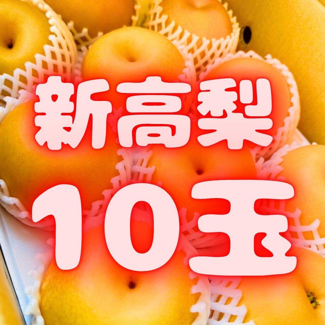 梨　新高梨　10玉　　04