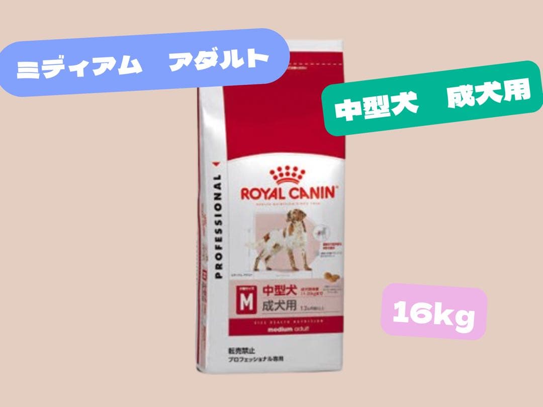 なちゅ