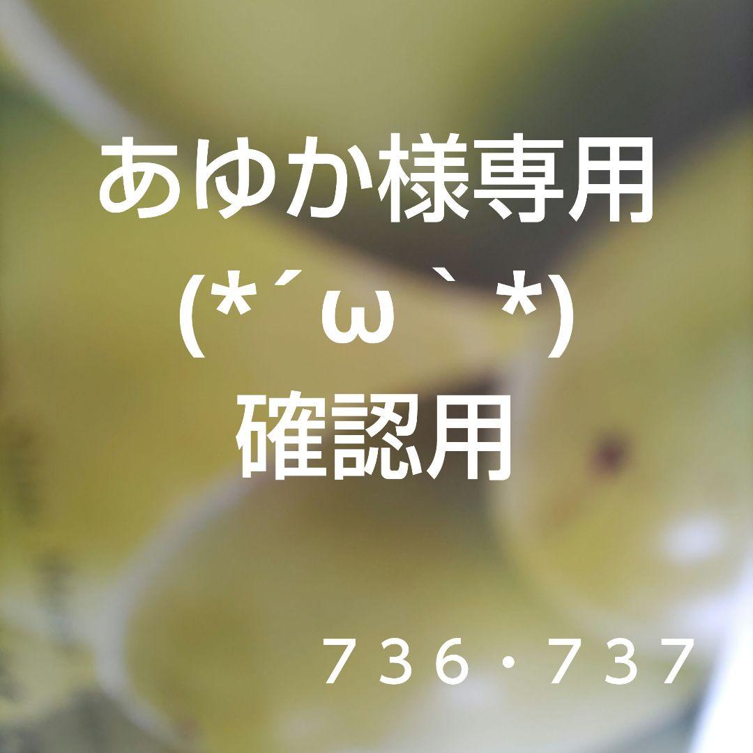 あゆか／確認用です！
