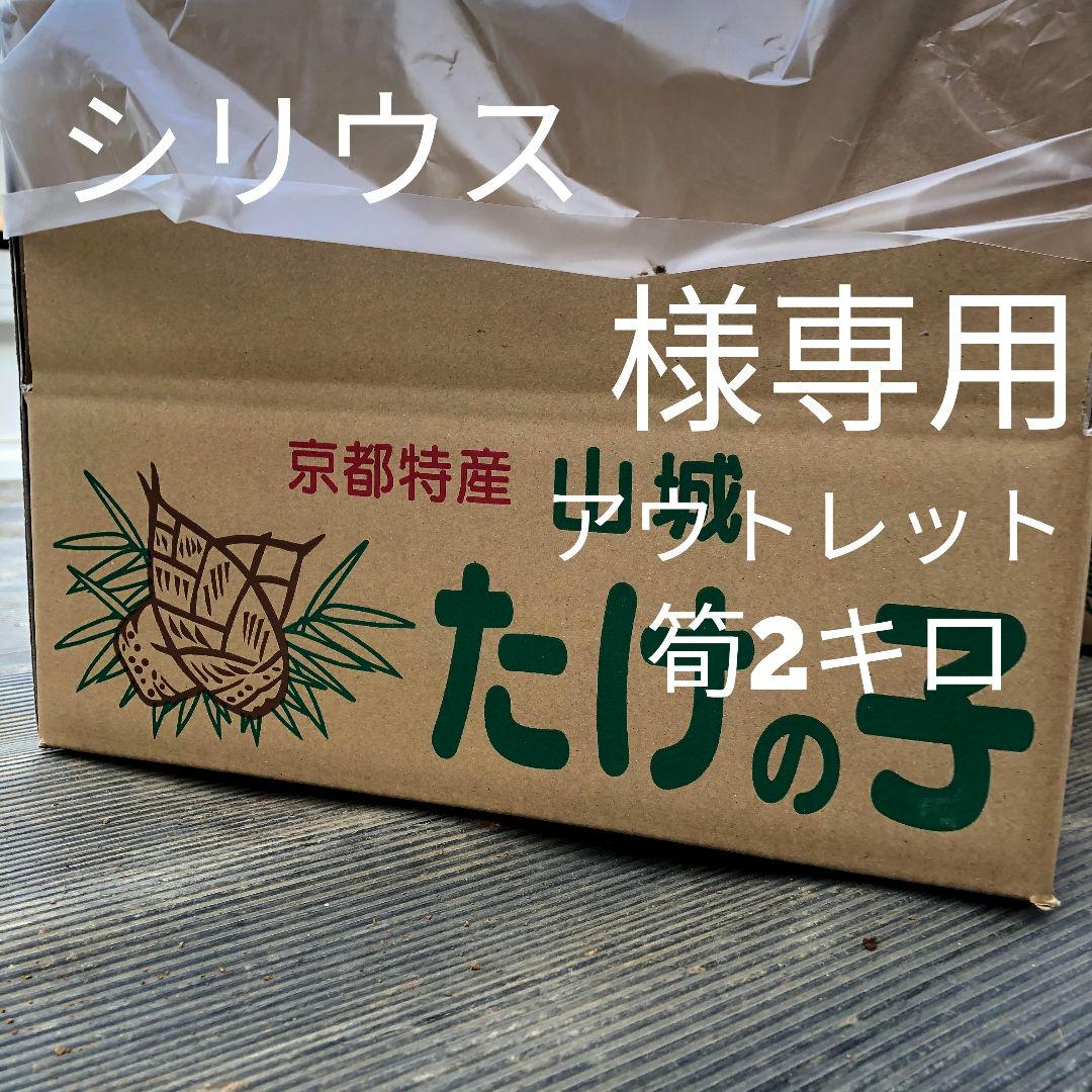 シリウス　白子筍1キロ