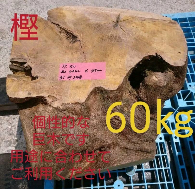 樫、台