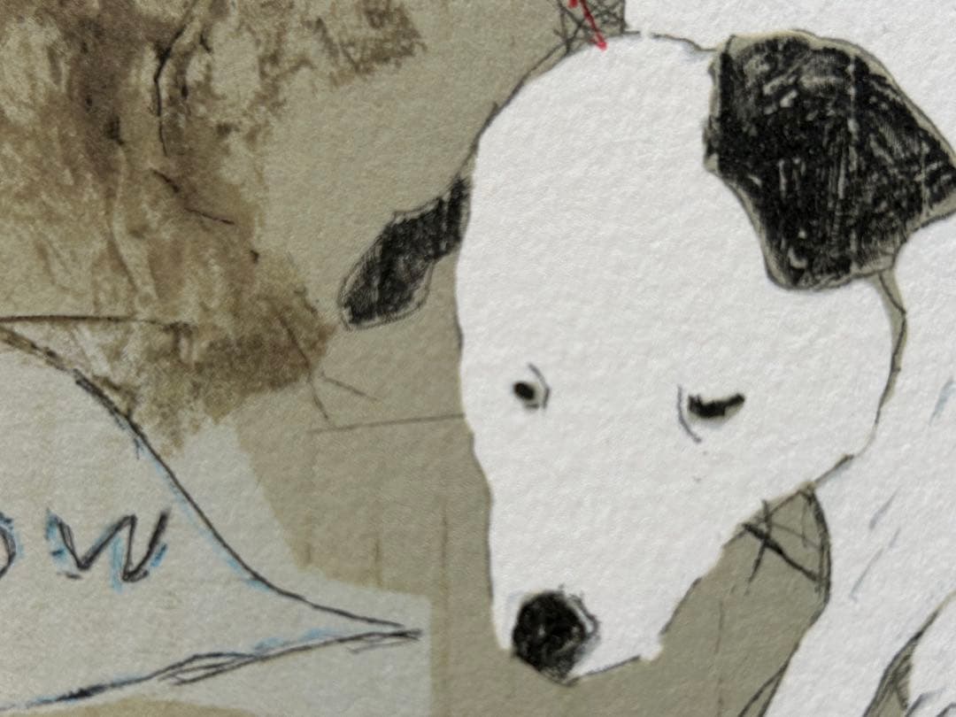日比野克彦　版画　『Bow』　額付