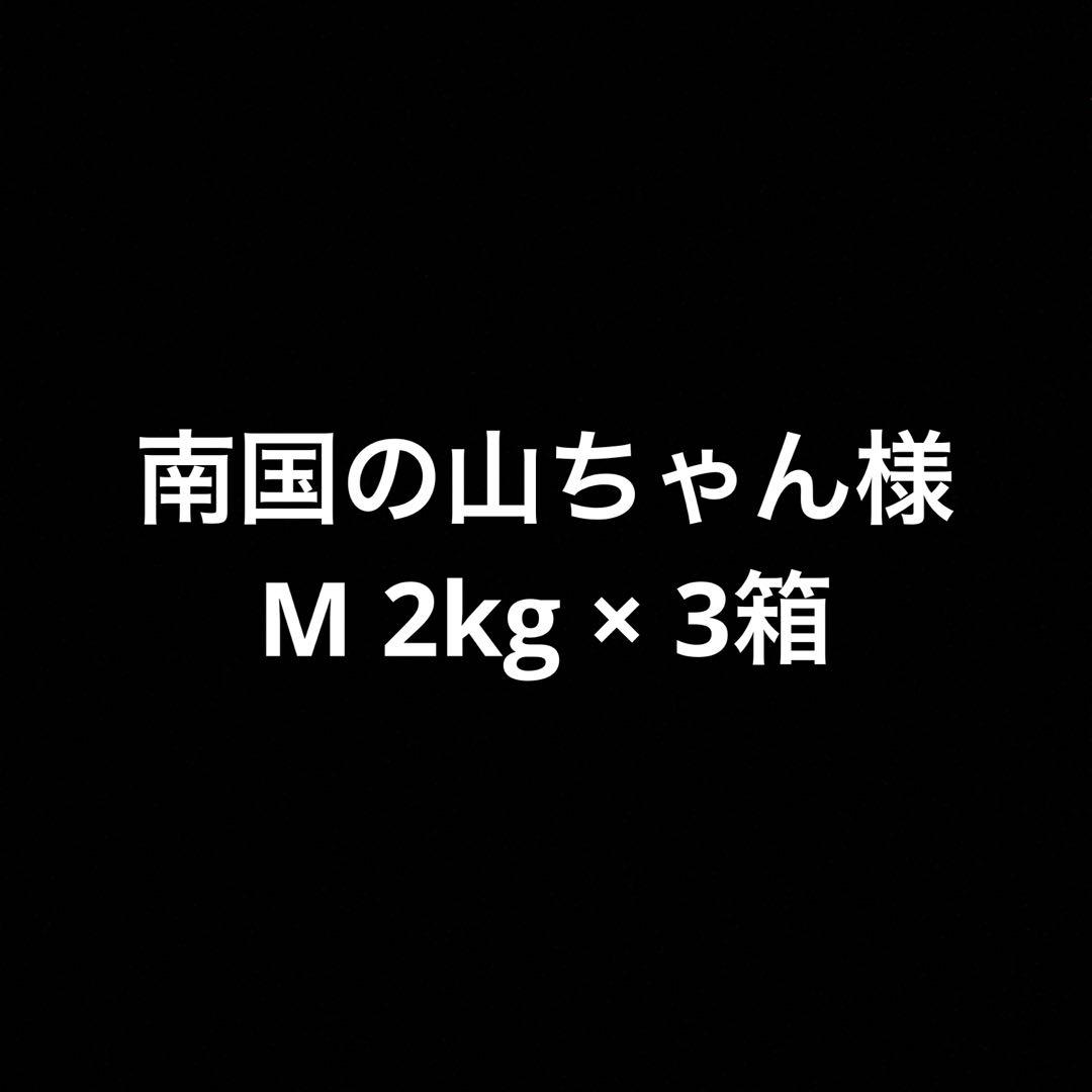 南国の山ちゃん　北海道 真狩産 ユリネ 2キロ Mサイズ ハネ品 ゆり根