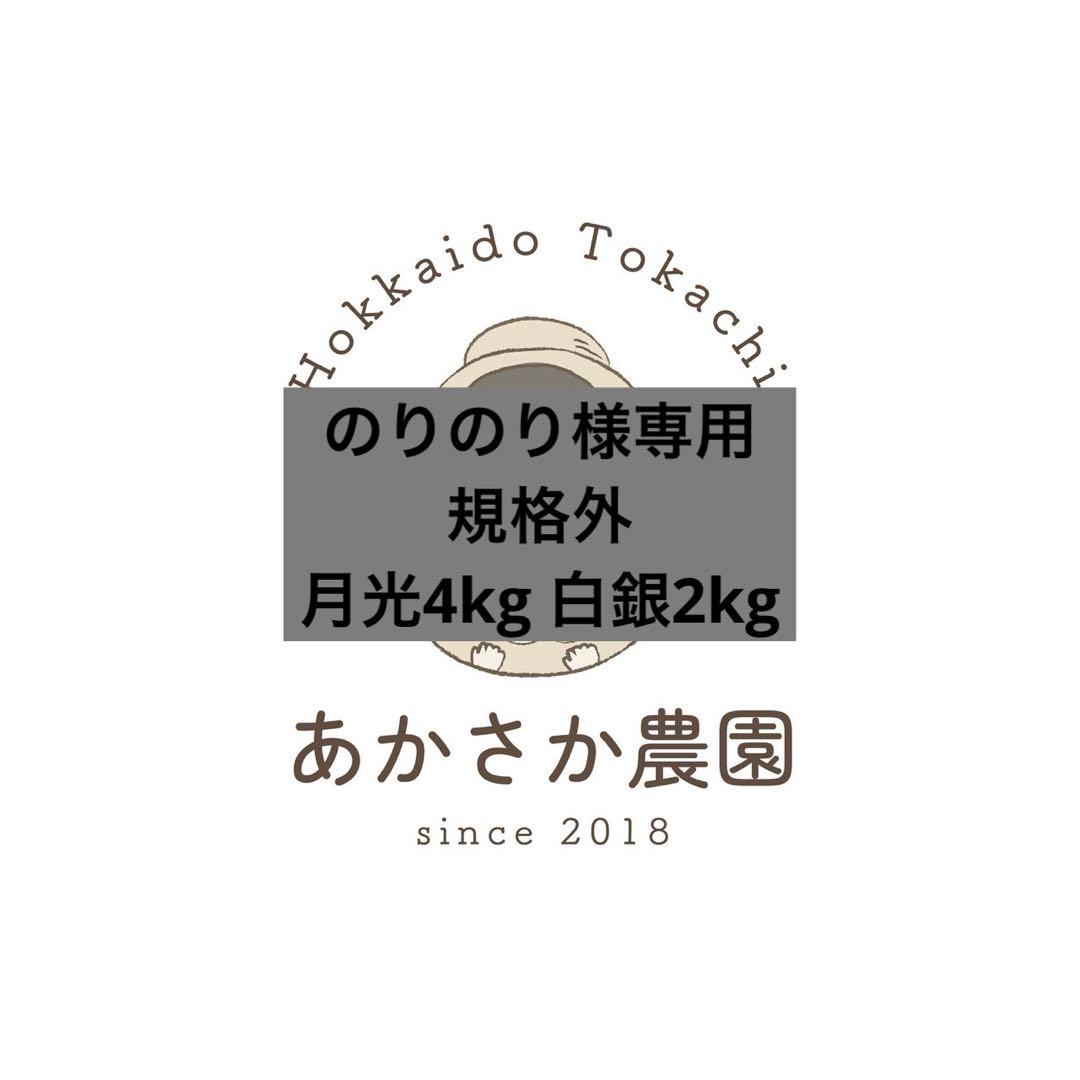 のりのり