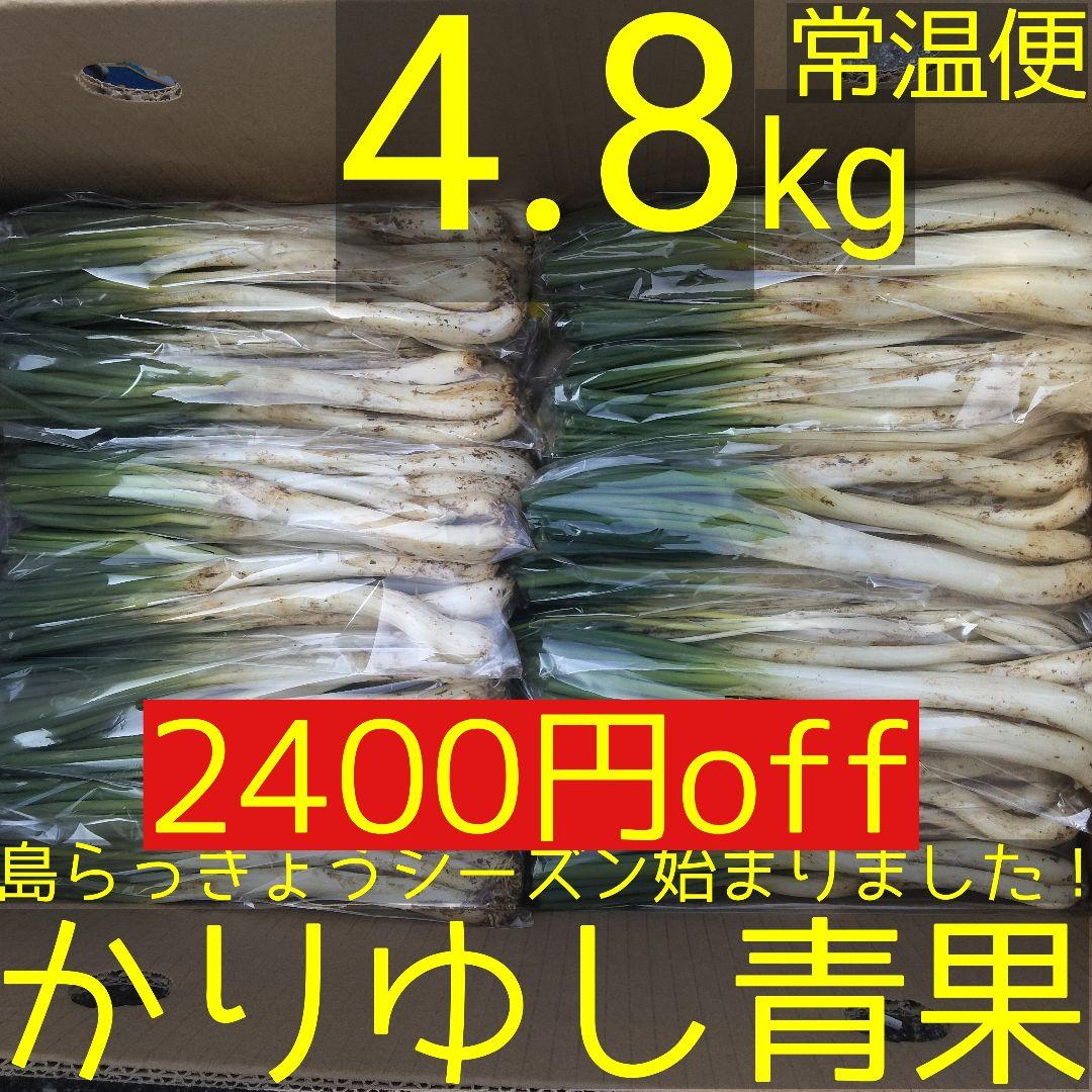 〈新物〉沖縄県産 島らっきょう 約4.8kg【常温便】②