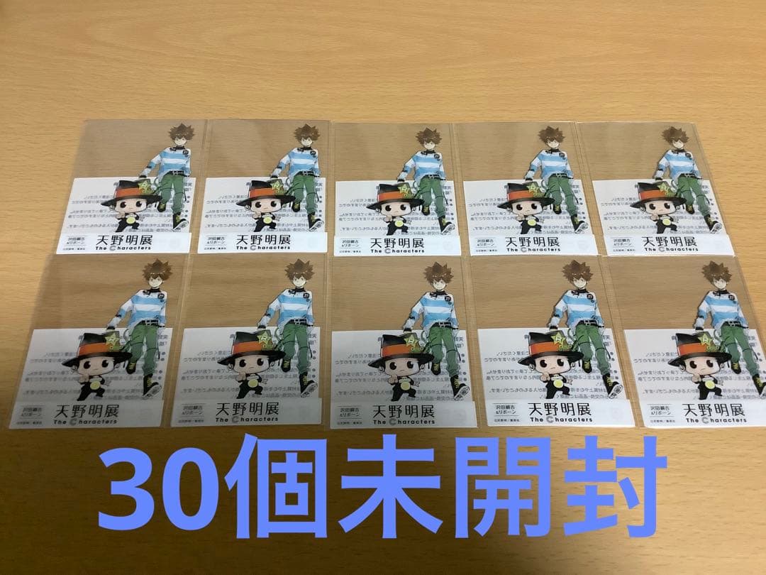 天野明展　入場者特典　30枚　クリアカード　沢田綱吉　ツナ　リボーンREBORN