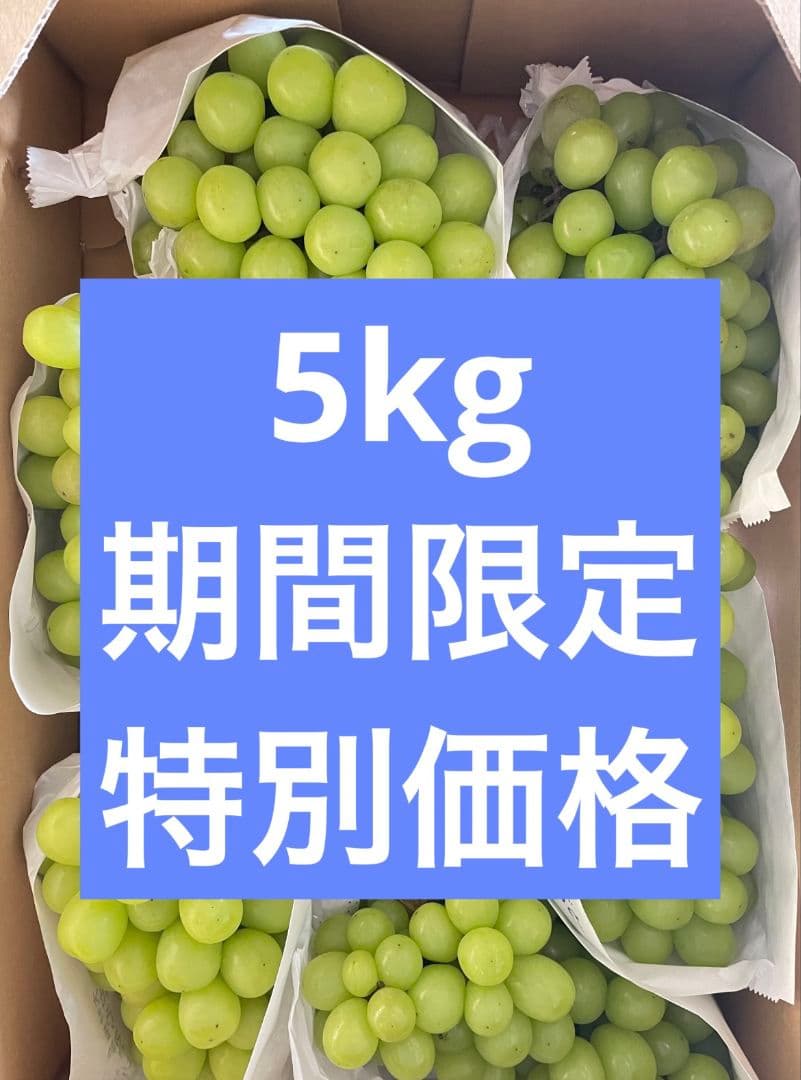 「今週いっぱい提供」シャインマスカット5kg 房入り 訳あり