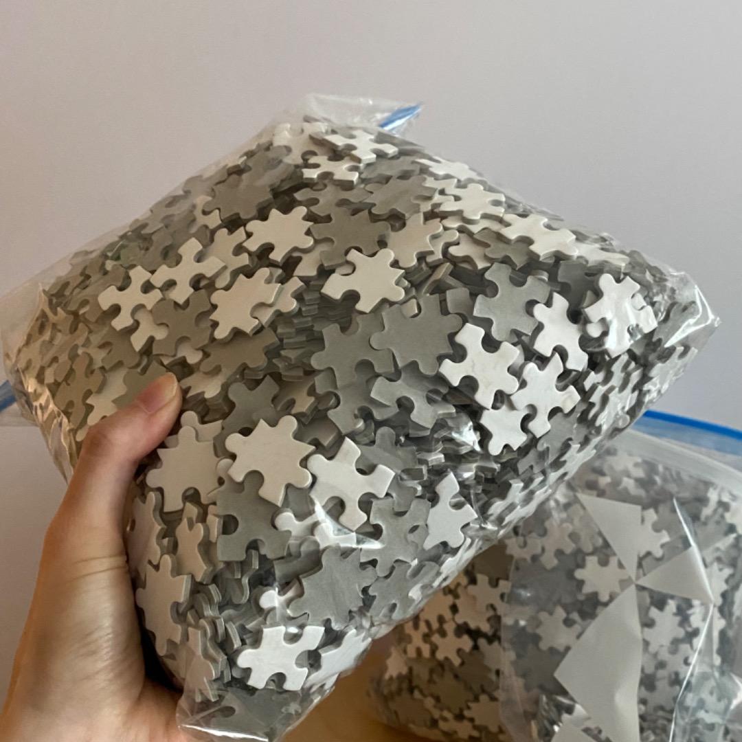 【未使用品】5005P ホワイト ジグソーパズル 特注品 アート 美術 白地図