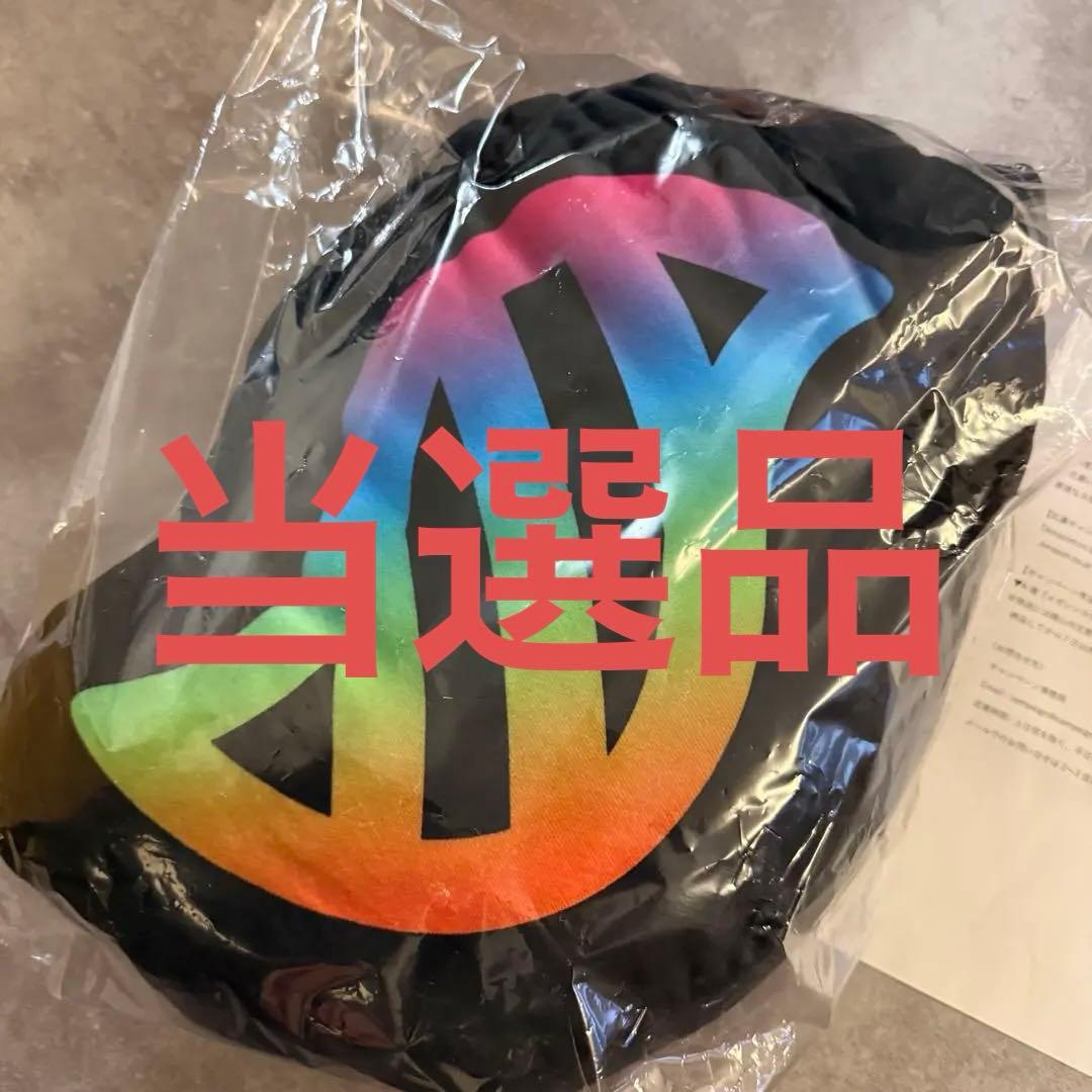 【希少】ポケモンレジェンズZA メガシンカクッションブランケット A賞 当選品