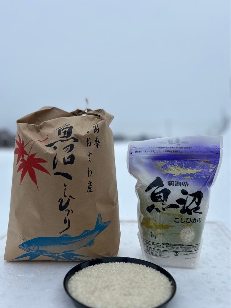その他 GC