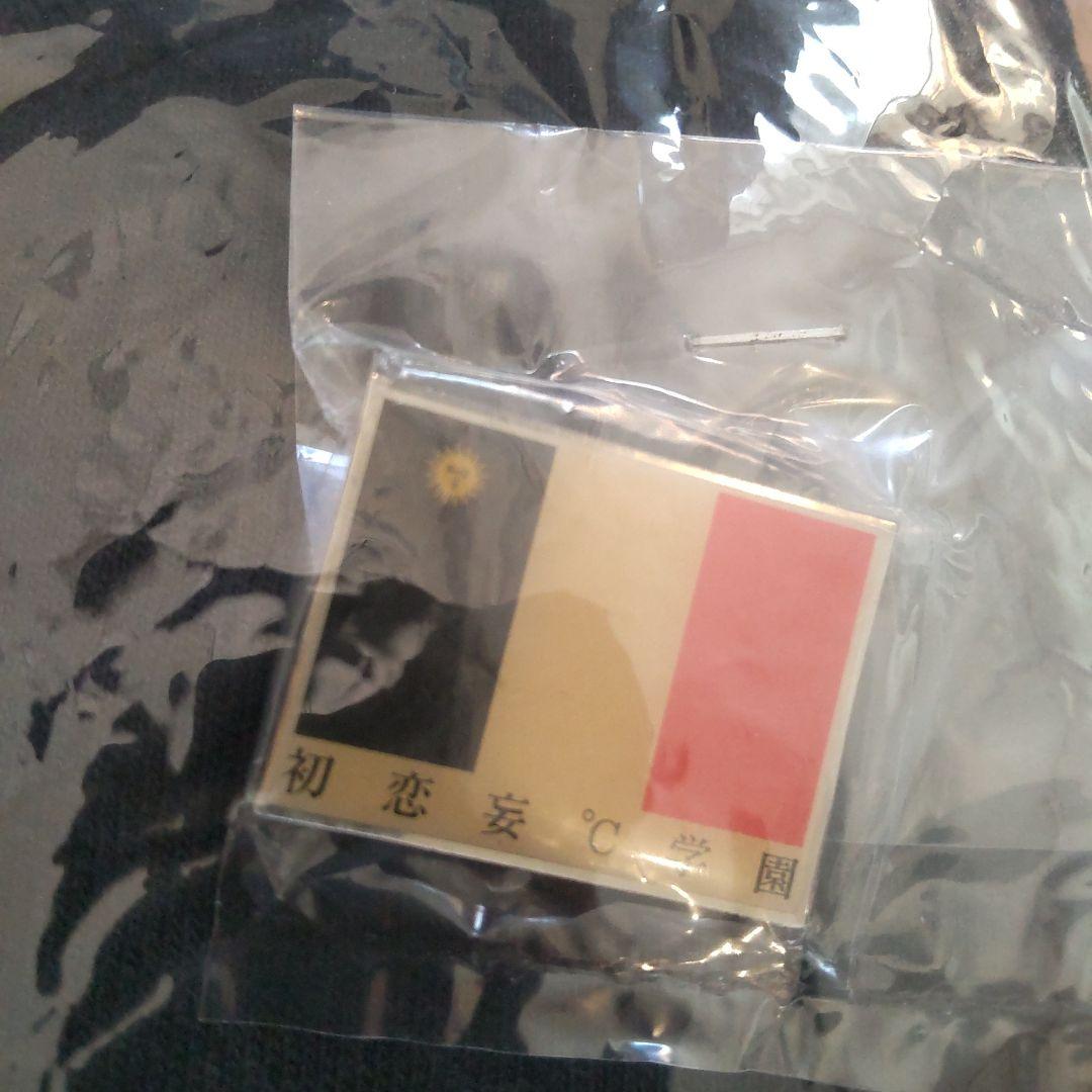 GOING STEADY Tシャツ(ピンバッチ付) Mサイズ