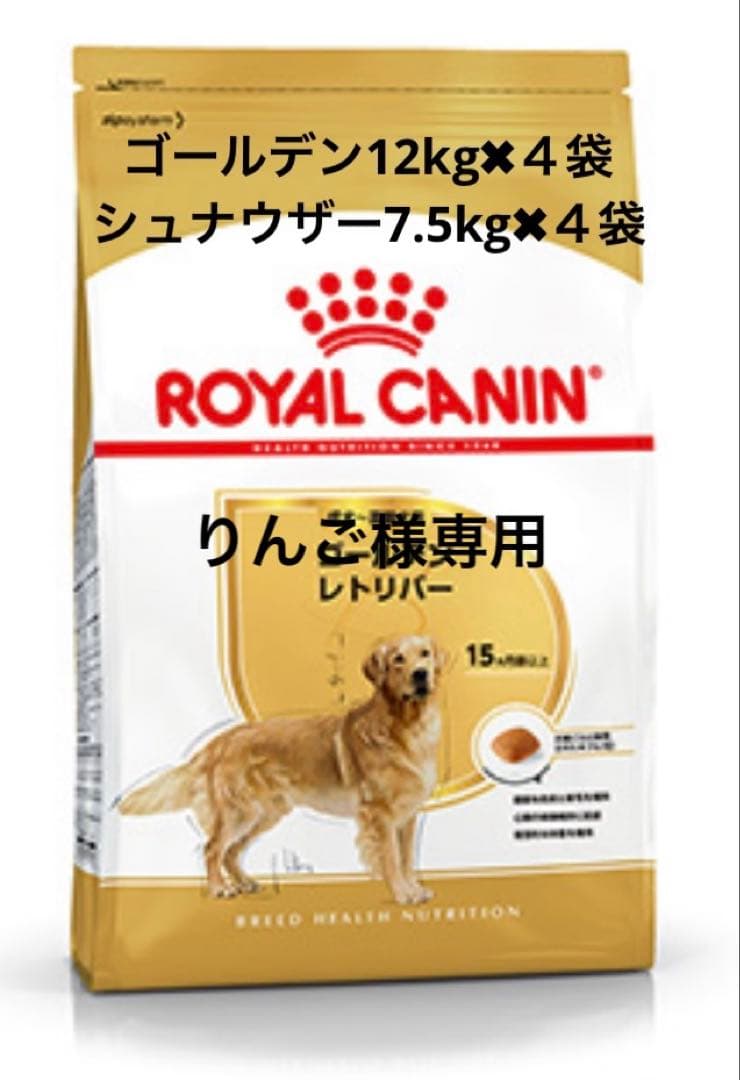ゴールデンレトリバー✖︎シュナウザー