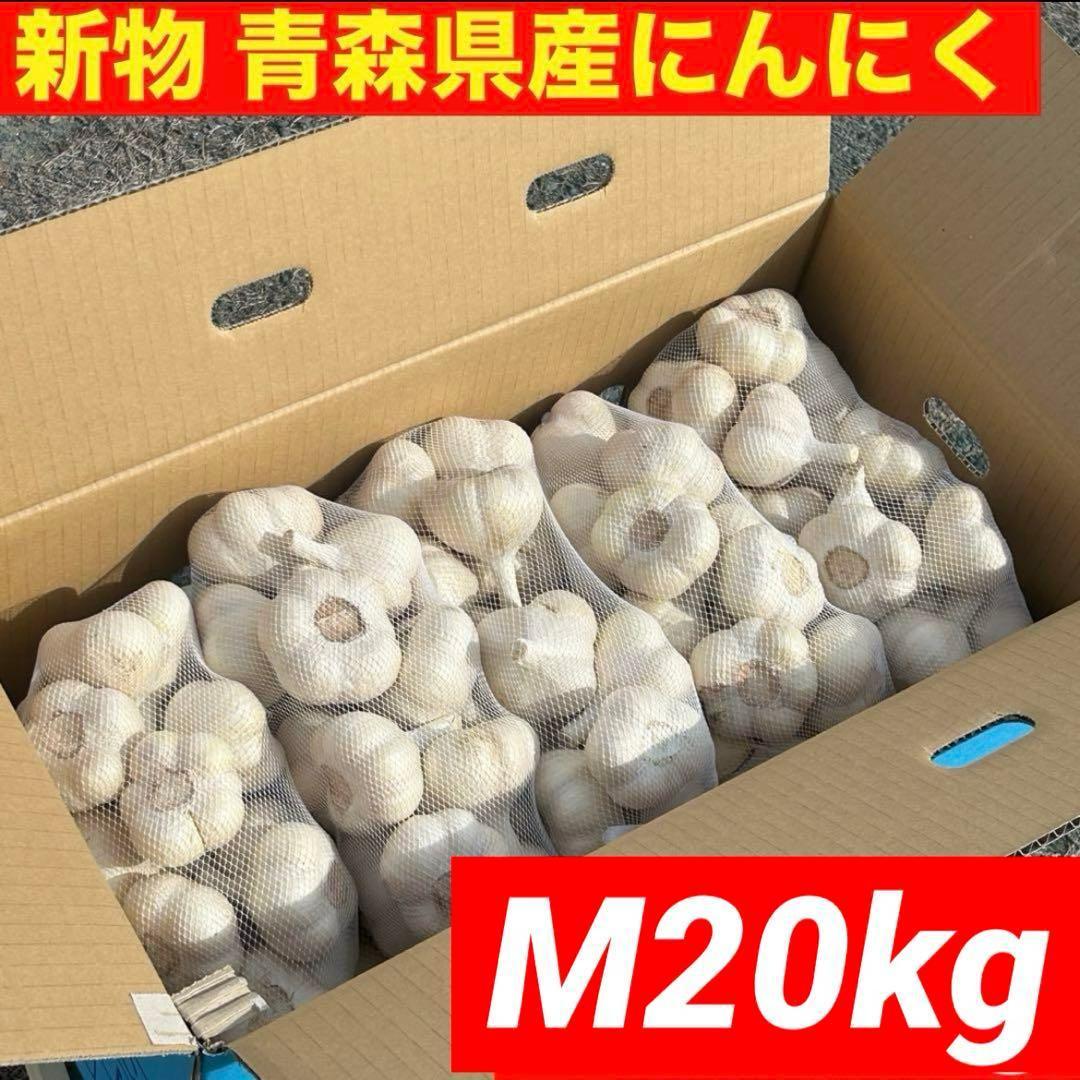 【お買い得セール】青森県 福地ホワイト にんにく M 20kg 　黒にんにく加工
